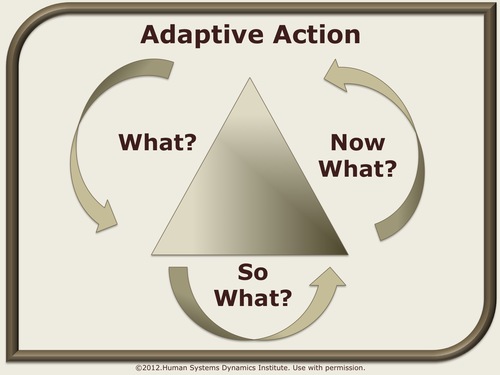 Adaptive Action