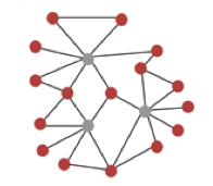 Scale Free Network